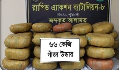 পটুয়াখালীতে র‌্যাবের অভিযানে পিকআপ থেকে ৬৬ কেজি গাঁজা উদ্ধার - র‍্যাব-৮