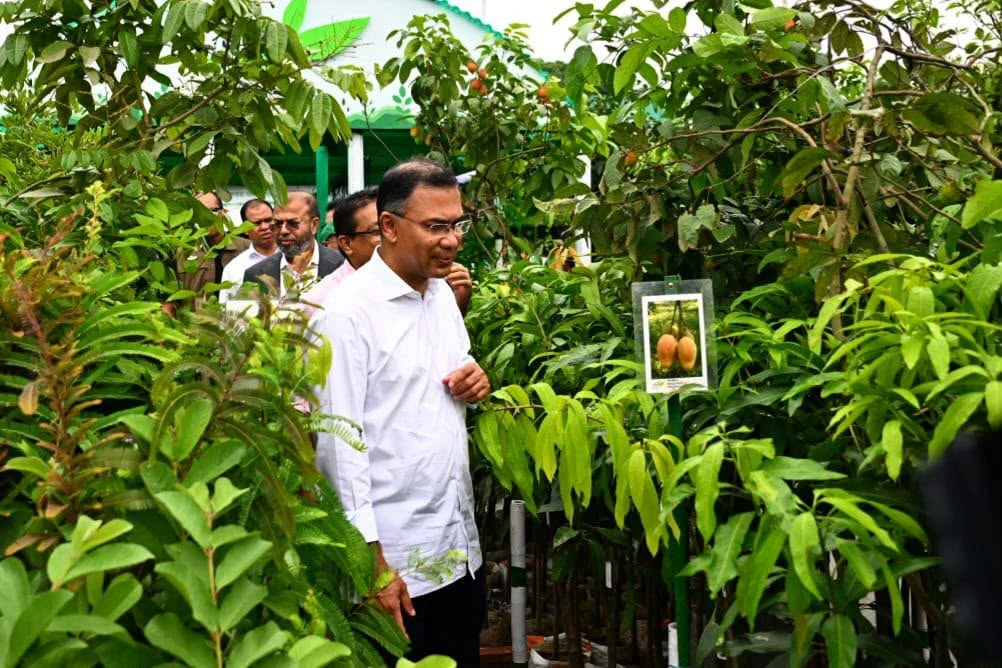 'বৃক্ষরোপণে সাজাই দেশ, সবার আগে বাংলাদেশ'- এই প্রতিপাদ্যে বৃক্ষমেলা ২০২৬-এর শুভ উদ্বোধন করেন প্রধানমন্ত্রী