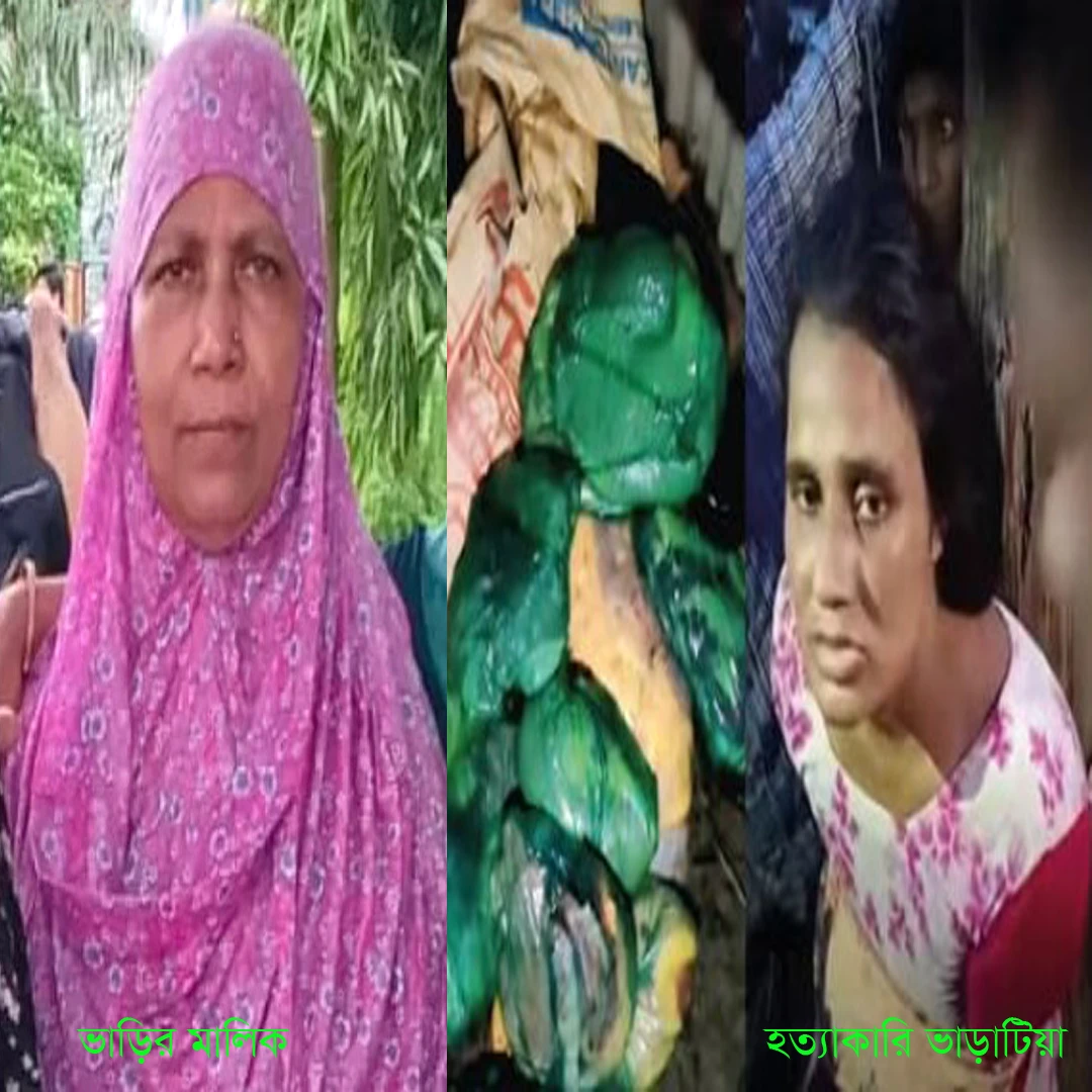 কুমিল্লা দেবিদ্বারে বাড়ির মালিককে কেটে ৯ টুকরো করে পলিথিনে রাখেন ভাড়াটিয়া